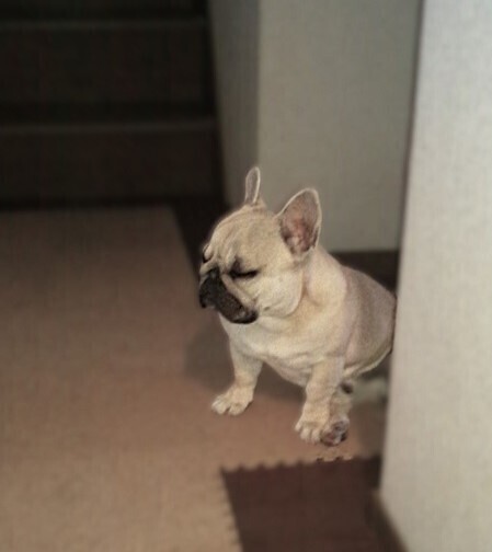 20130206DVC00028.JPG