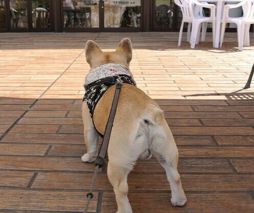 DSC_2031 2013.3.30.JPG