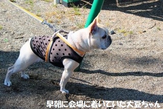 ԏ̑哤
